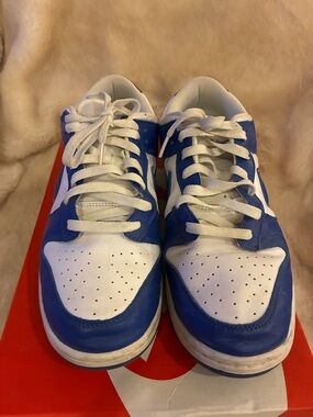 Nike Dunk Low SP